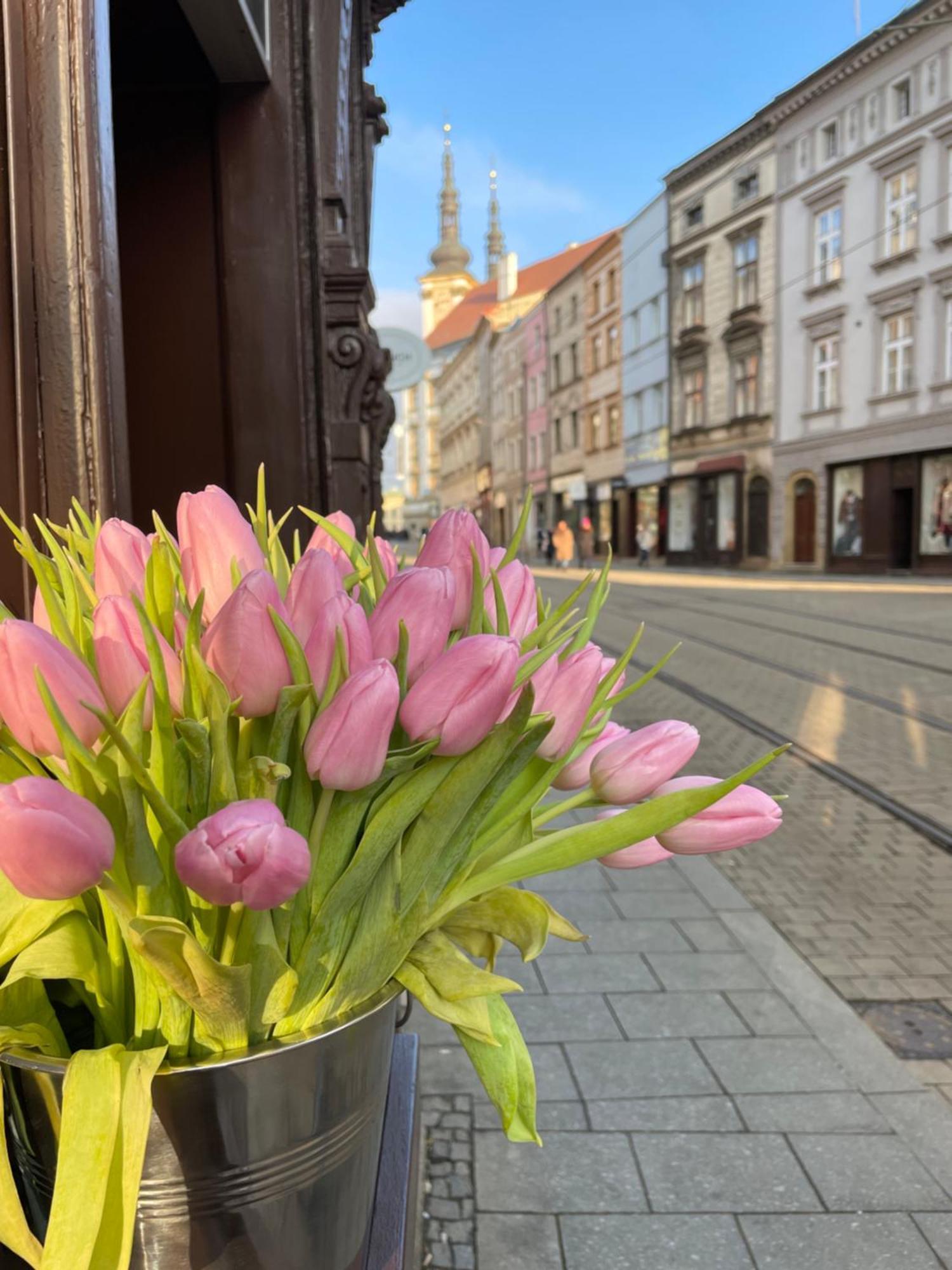 Kovarik Apartments I Olomouc Exteriér fotografie